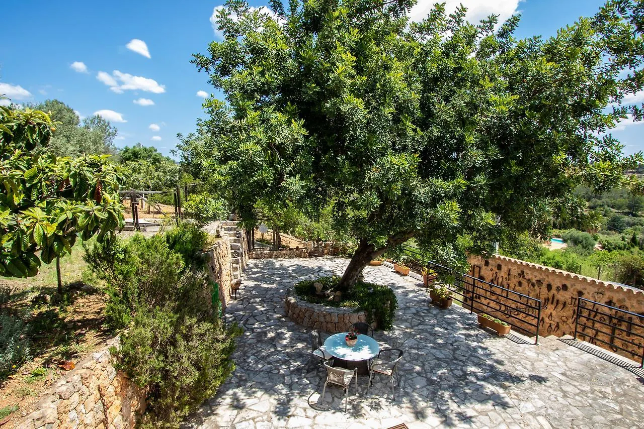 Villa Es Pinar By Homevillas360 Аларо 0*,